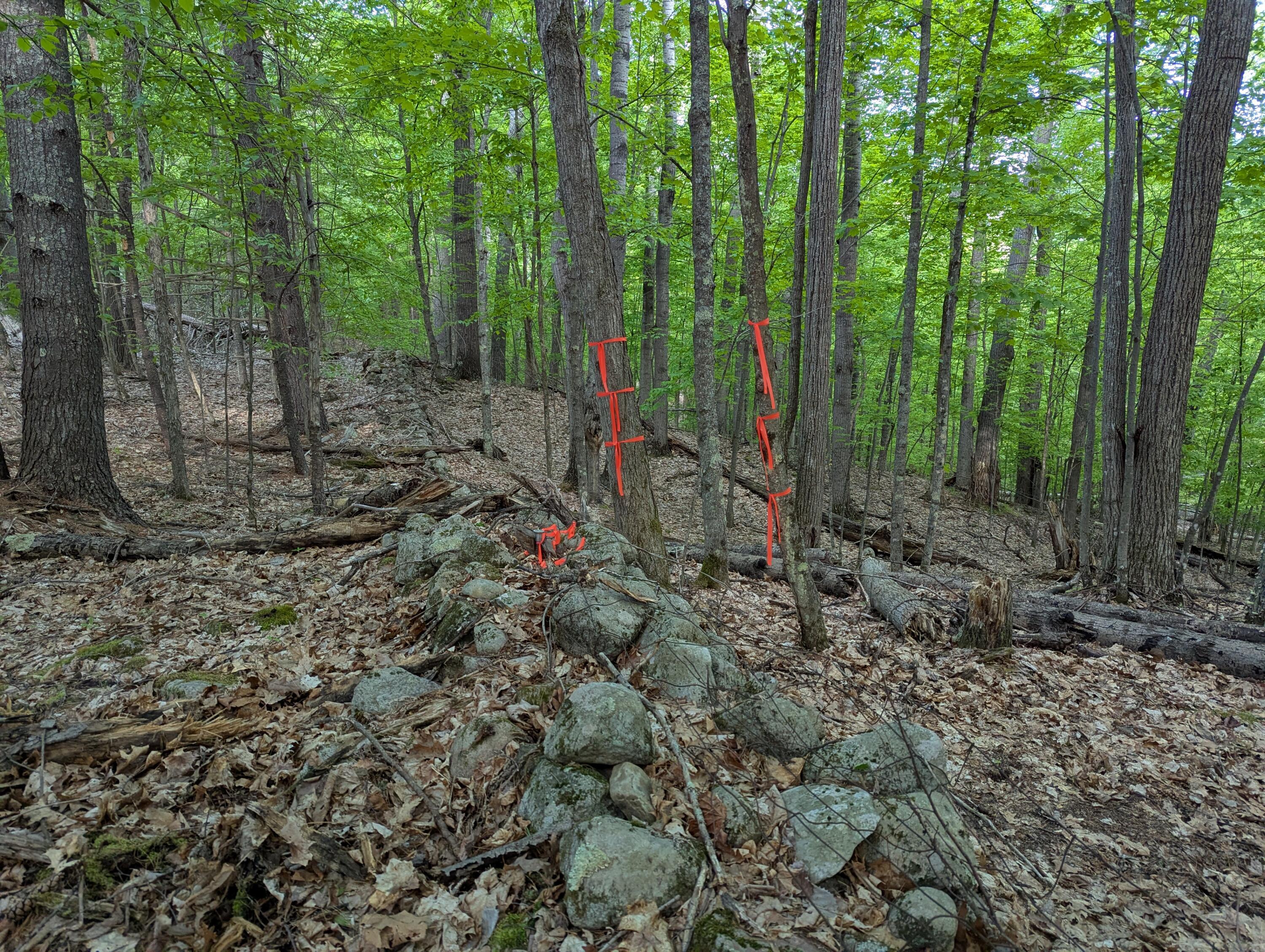 Lot 2 Wildernesscapes Way, Jay, New York image 11