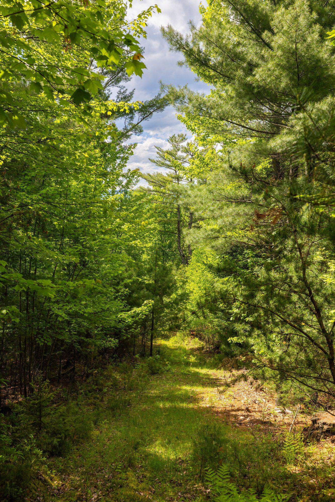 Lot 2 Wildernesscapes Way, Jay, New York image 10