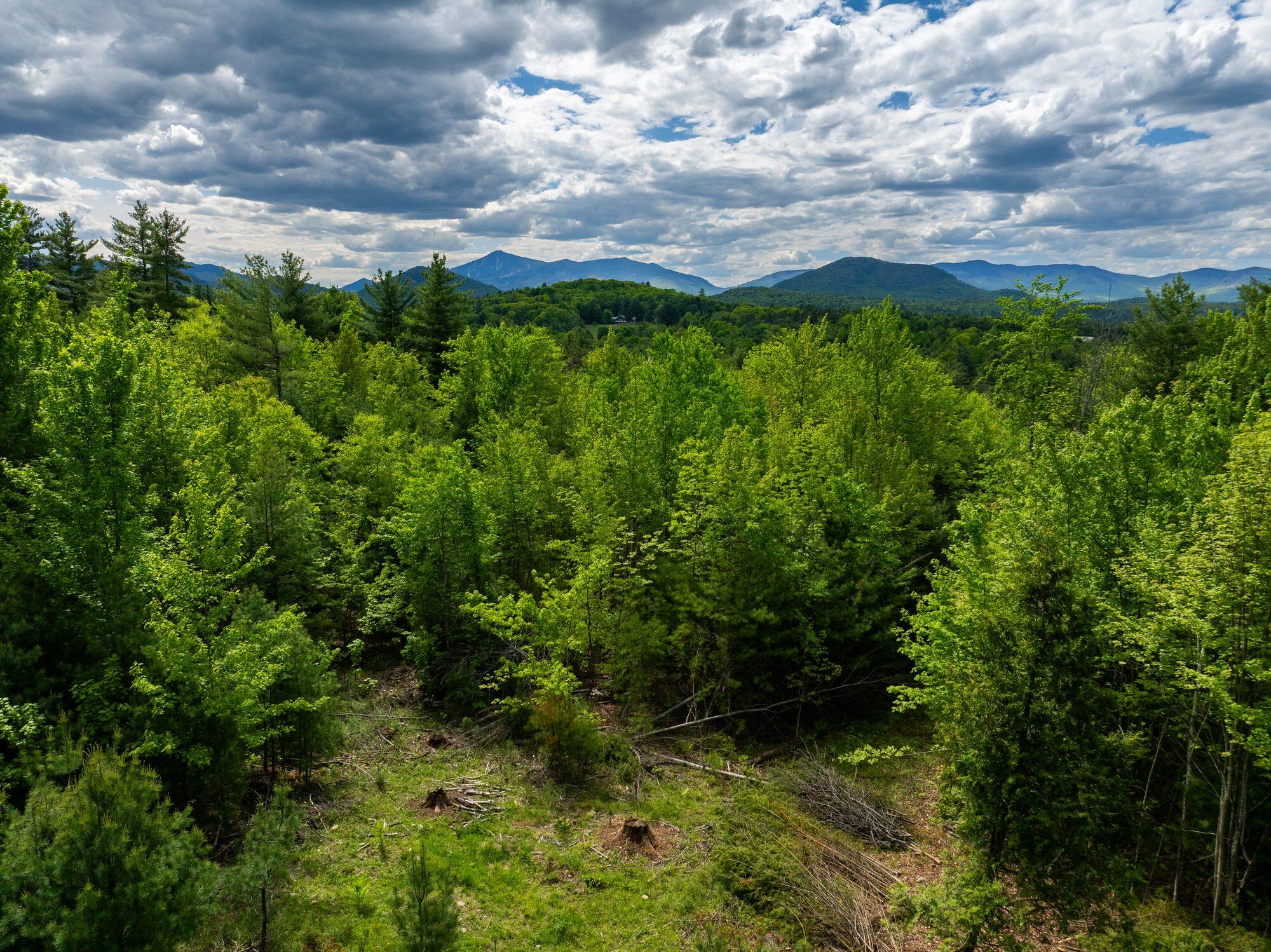 Lot 2 Wildernesscapes Way, Jay, New York image 1