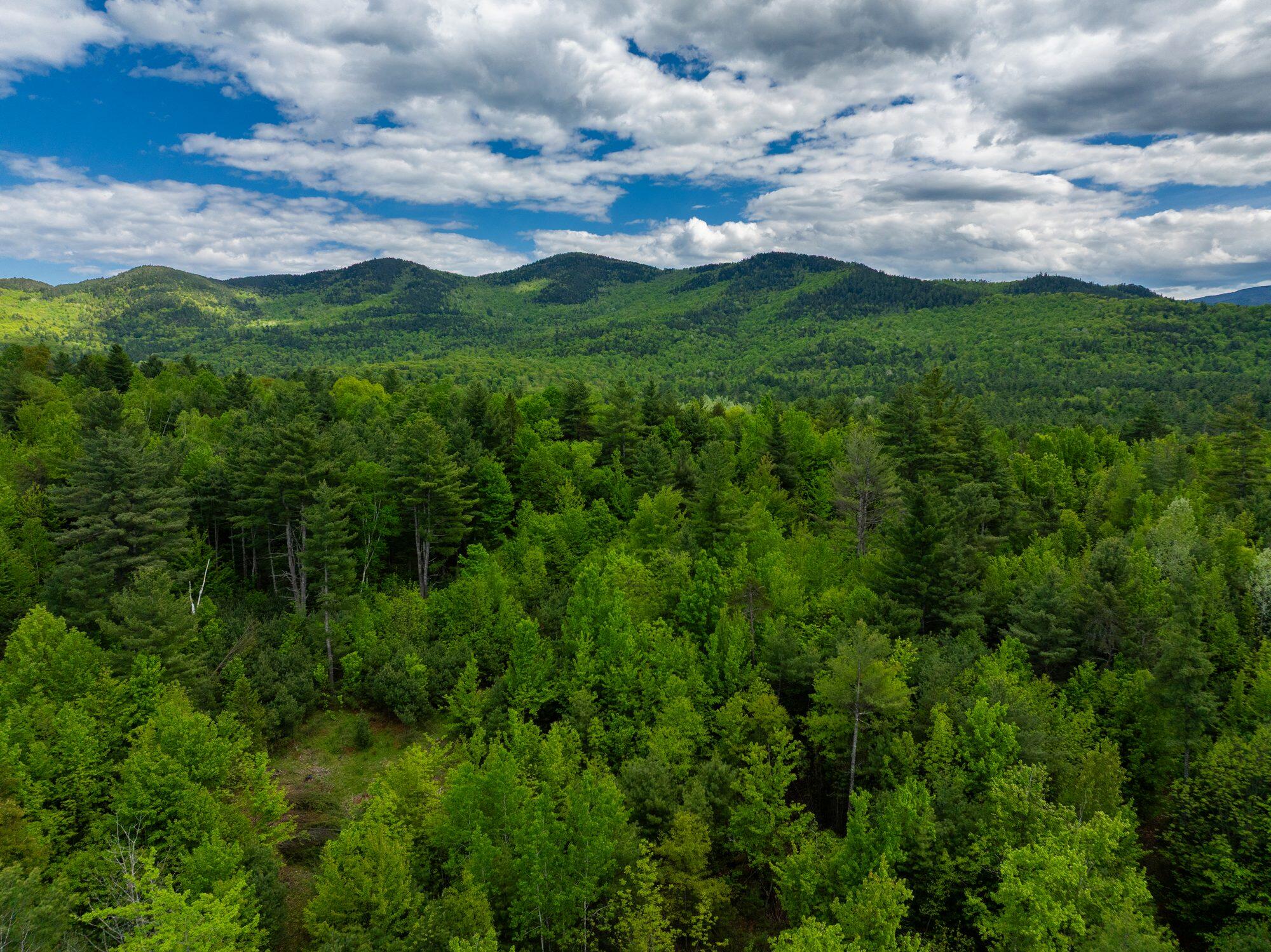 Lot 2 Wildernesscapes Way, Jay, New York image 7