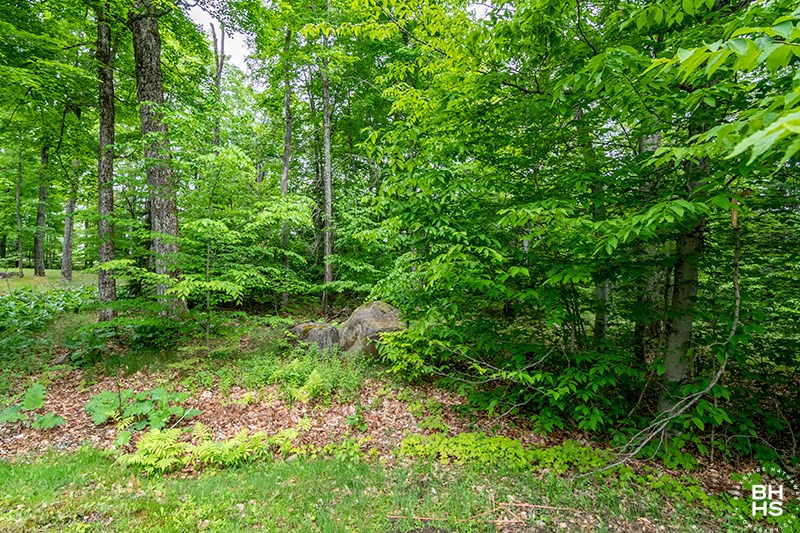 10 Spread Eagle Way, Lake Placid, New York image 4