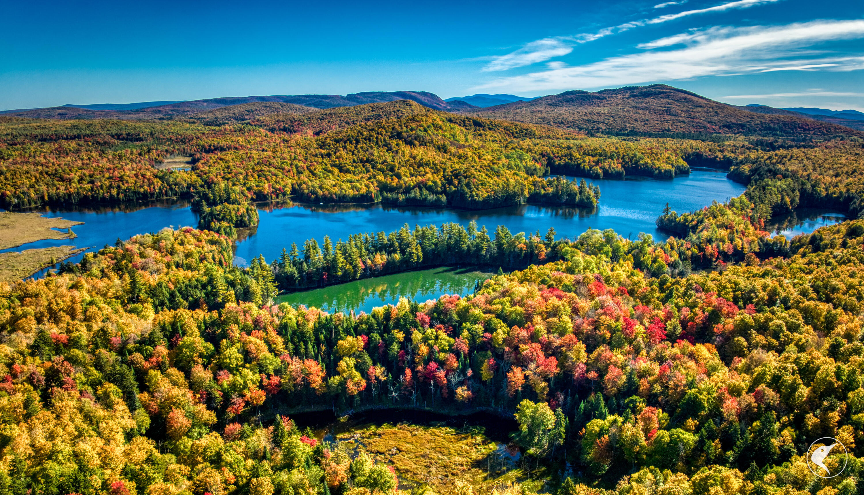 Twin Ponds Preserve, Malone, New York image 18