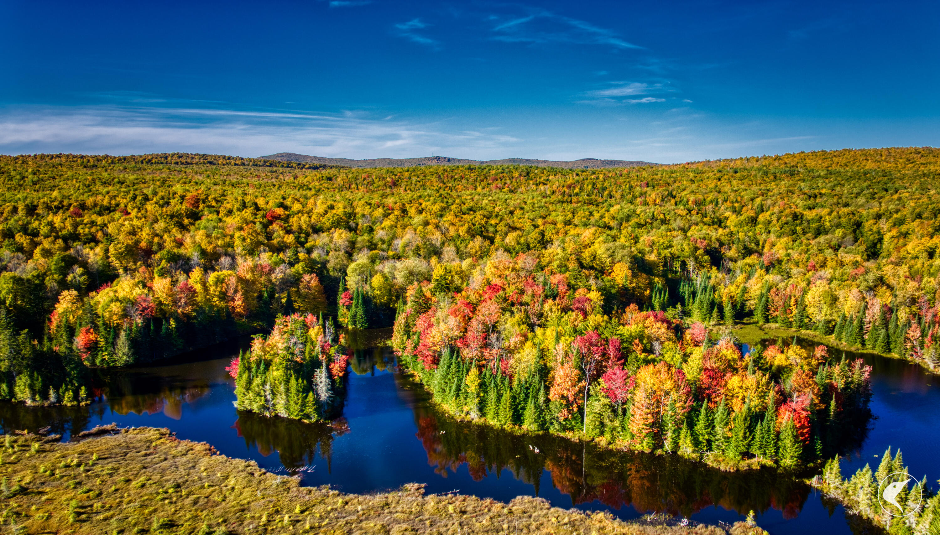 Twin Ponds Preserve, Malone, New York image 19