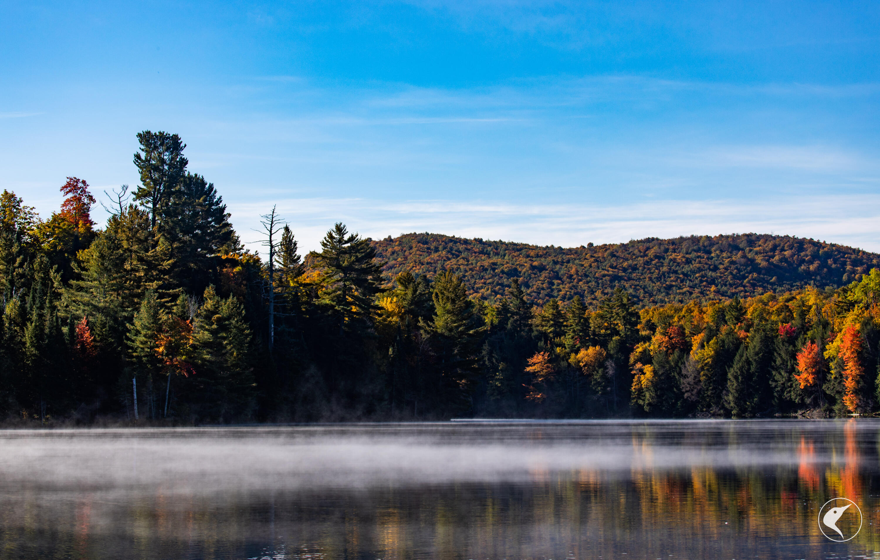 Twin Ponds Preserve, Malone, New York image 6