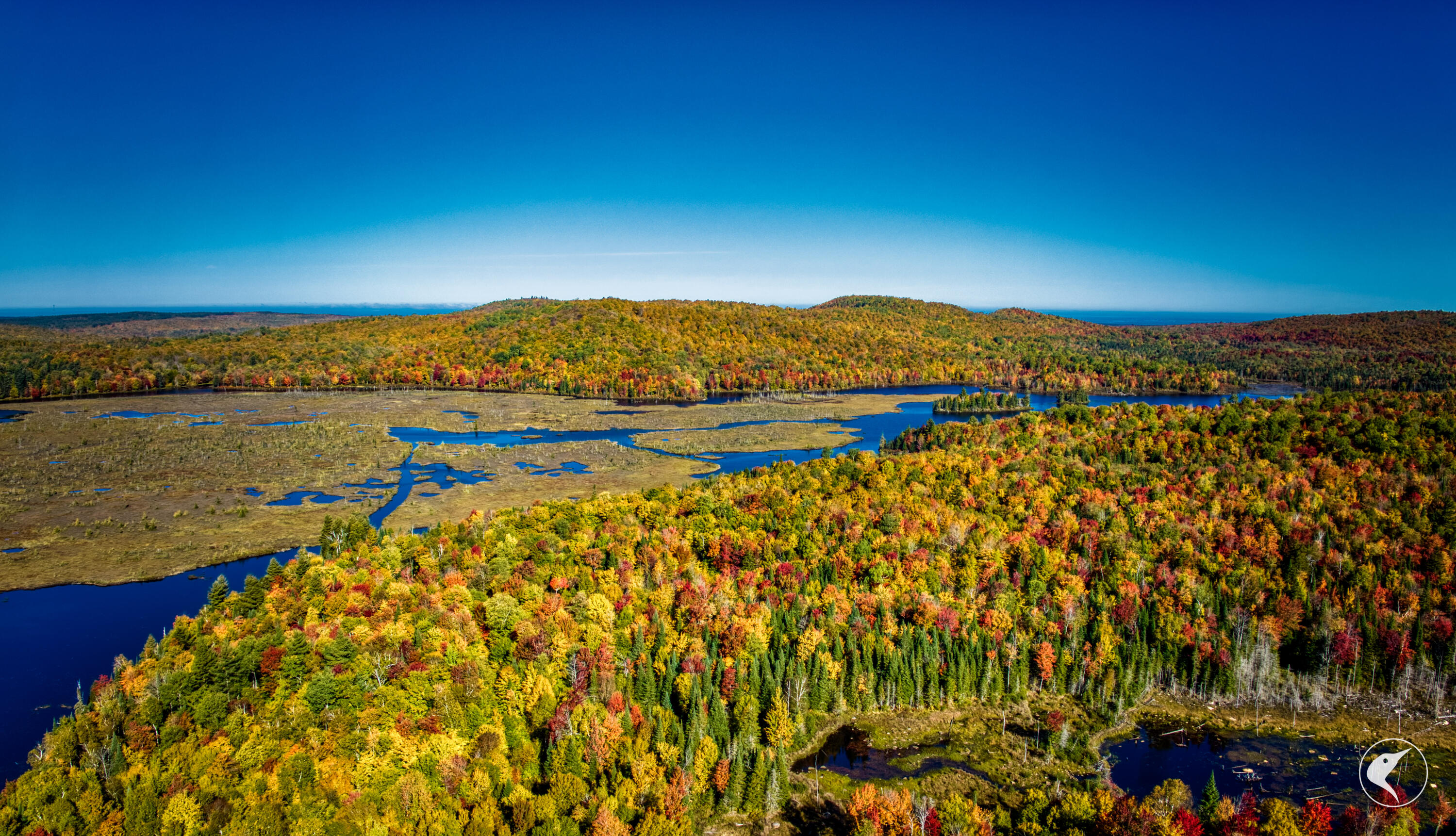 Twin Ponds Preserve, Malone, New York image 14