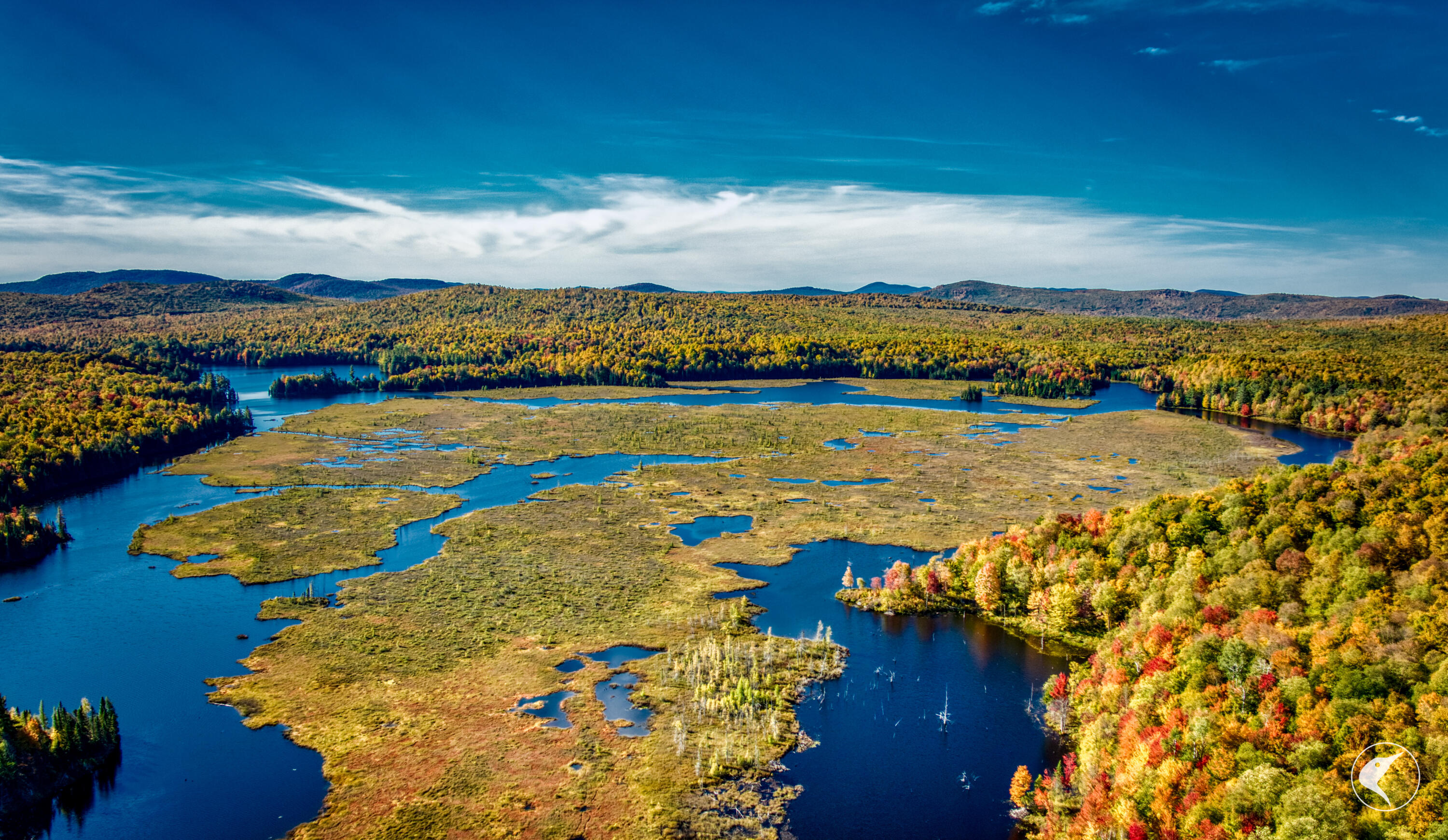 Twin Ponds Preserve, Malone, New York image 15