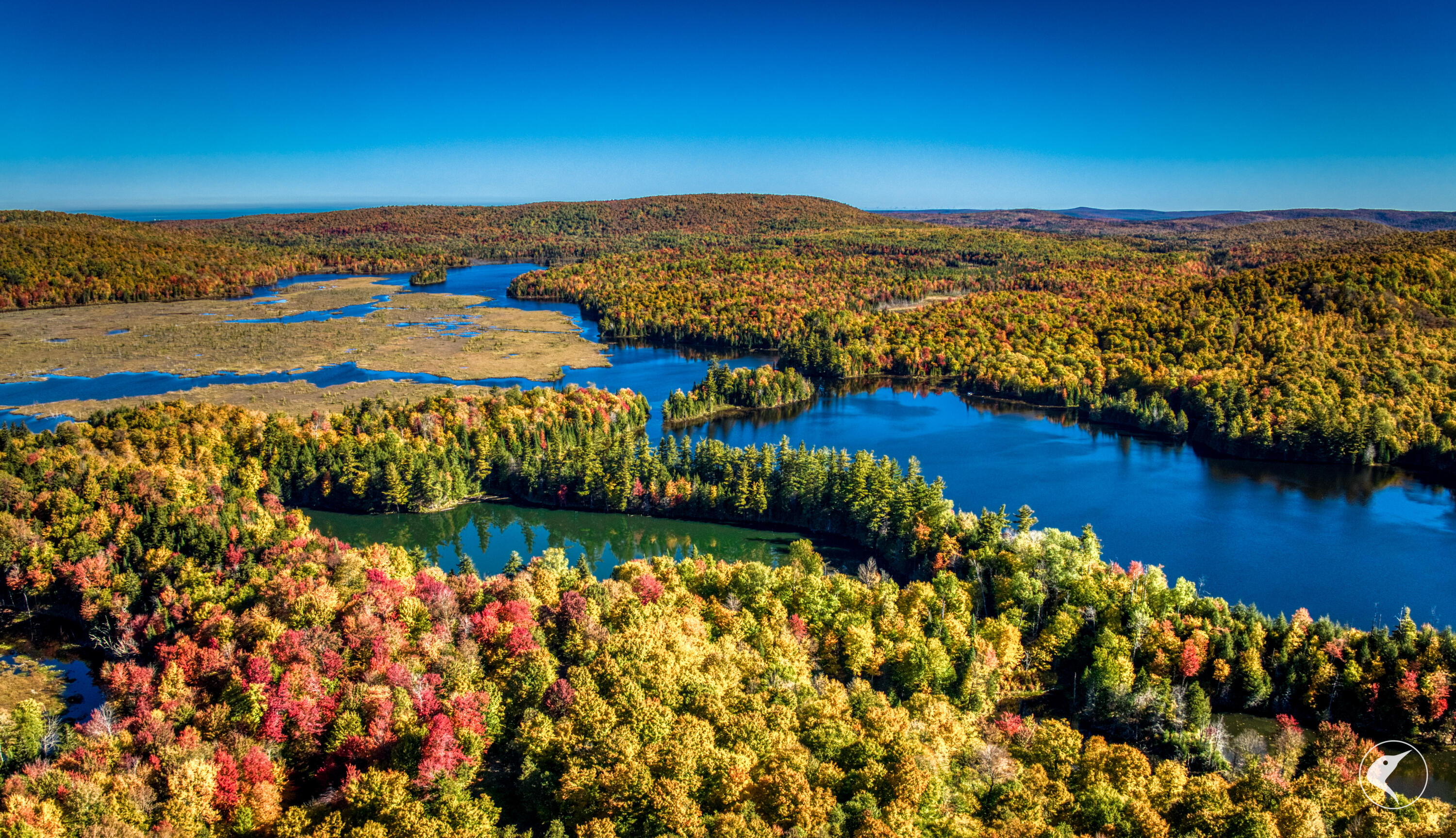 Twin Ponds Preserve, Malone, New York image 16