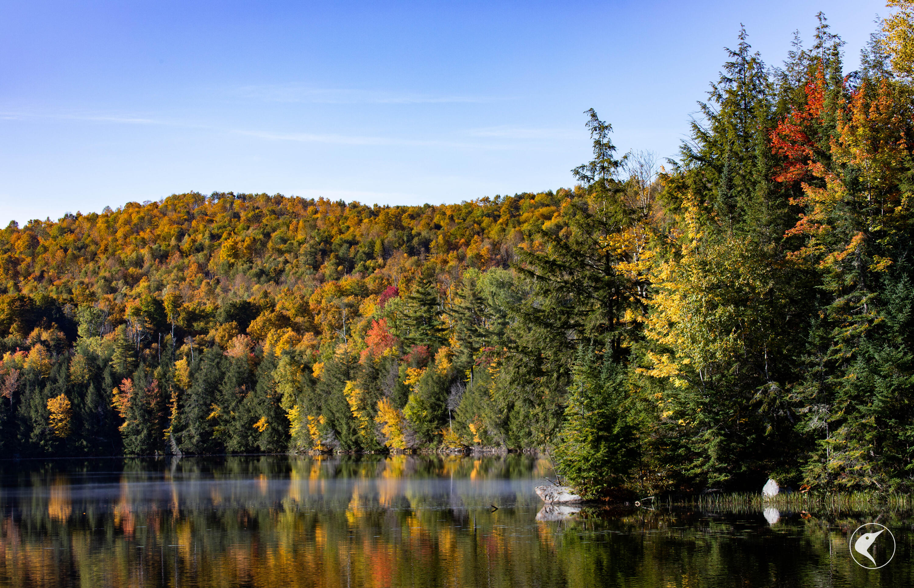 Twin Ponds Preserve, Malone, New York image 5