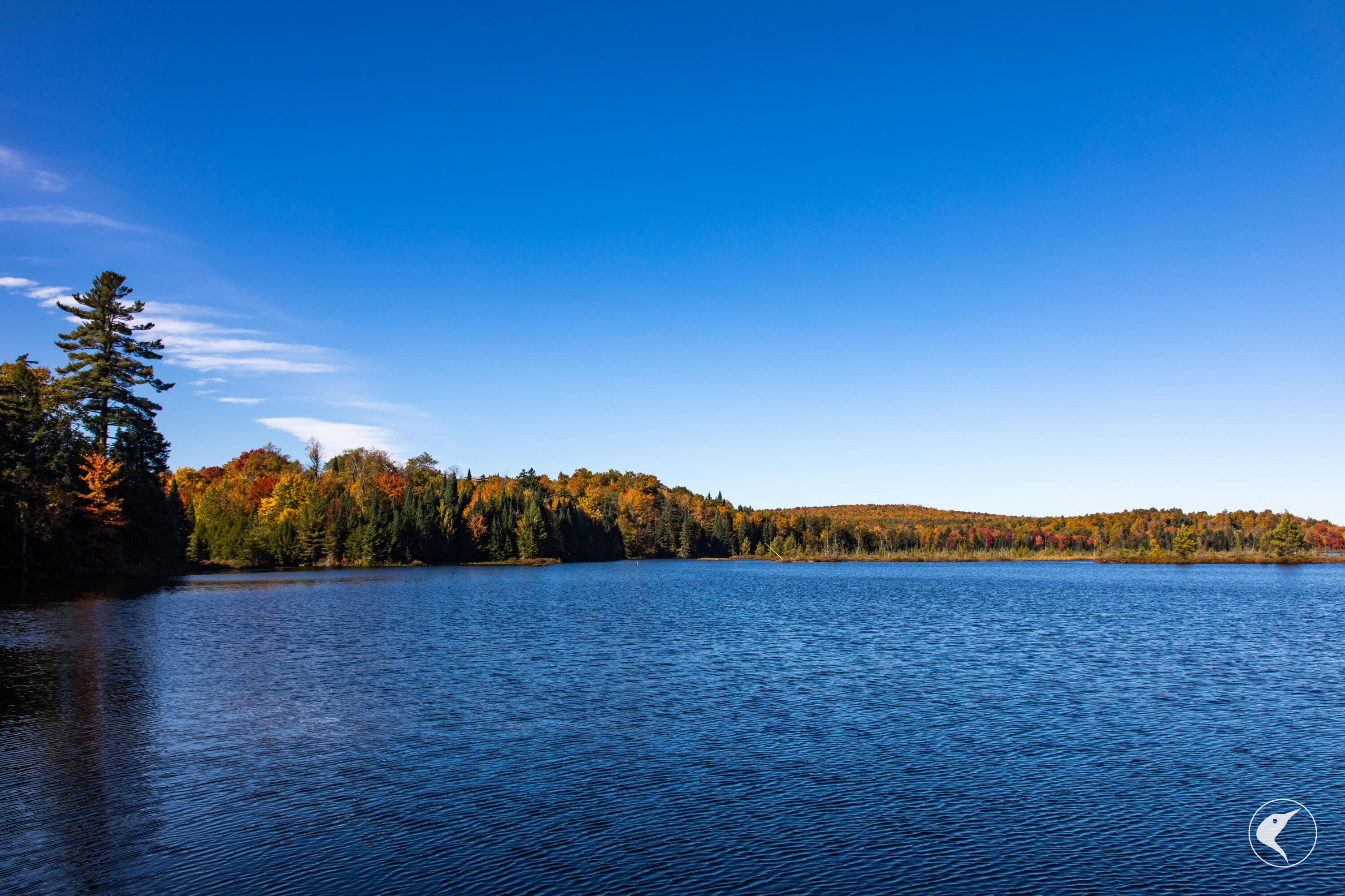 Twin Ponds Preserve, Malone, New York image 8