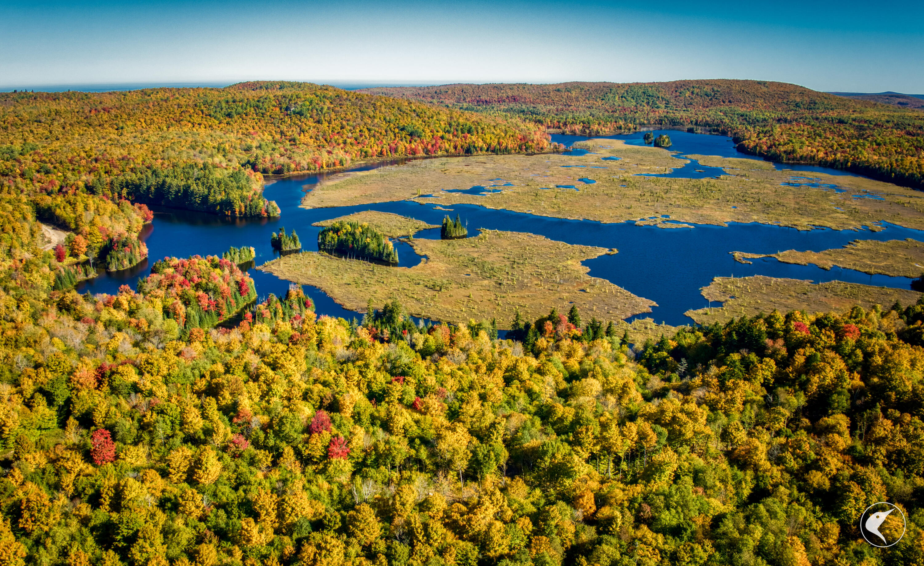 Twin Ponds Preserve, Malone, New York image 17