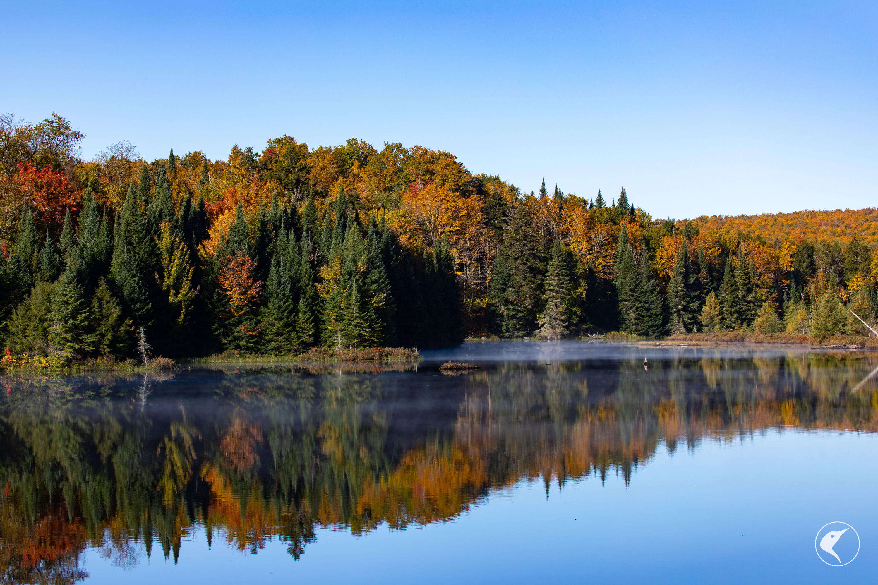 Twin Ponds Preserve, Malone, New York image 4