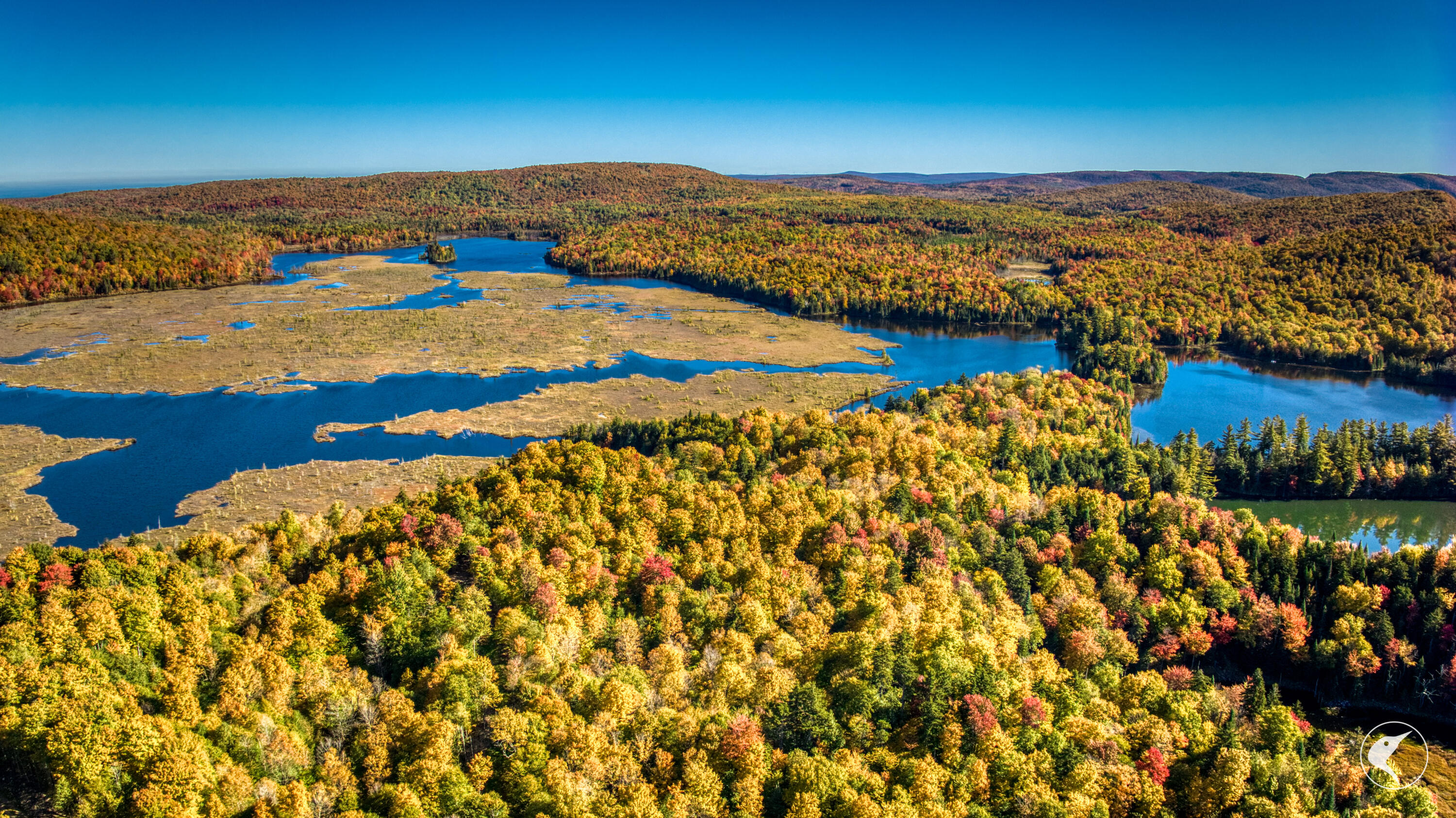 Twin Ponds Preserve, Malone, New York image 9