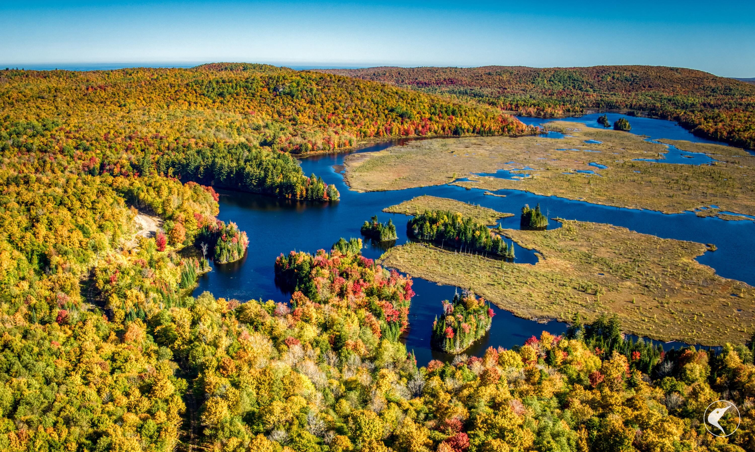 Twin Ponds Preserve, Malone, New York image 11