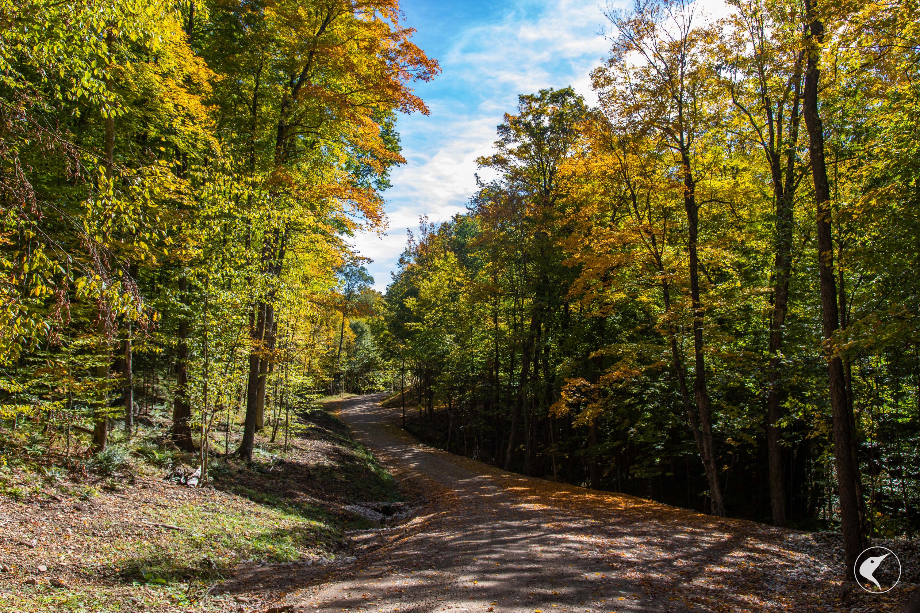 Twin Ponds Preserve, Malone, New York image 20