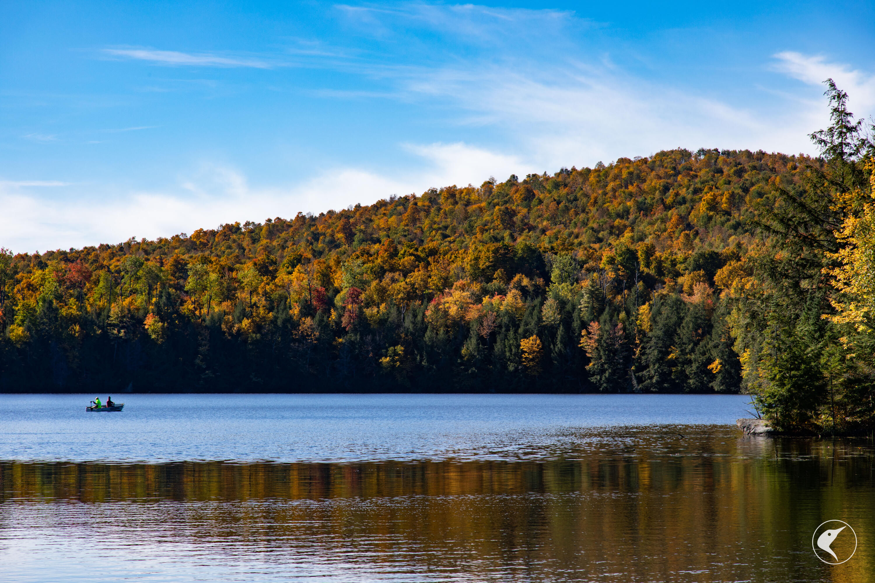 Twin Ponds Preserve, Malone, New York image 7