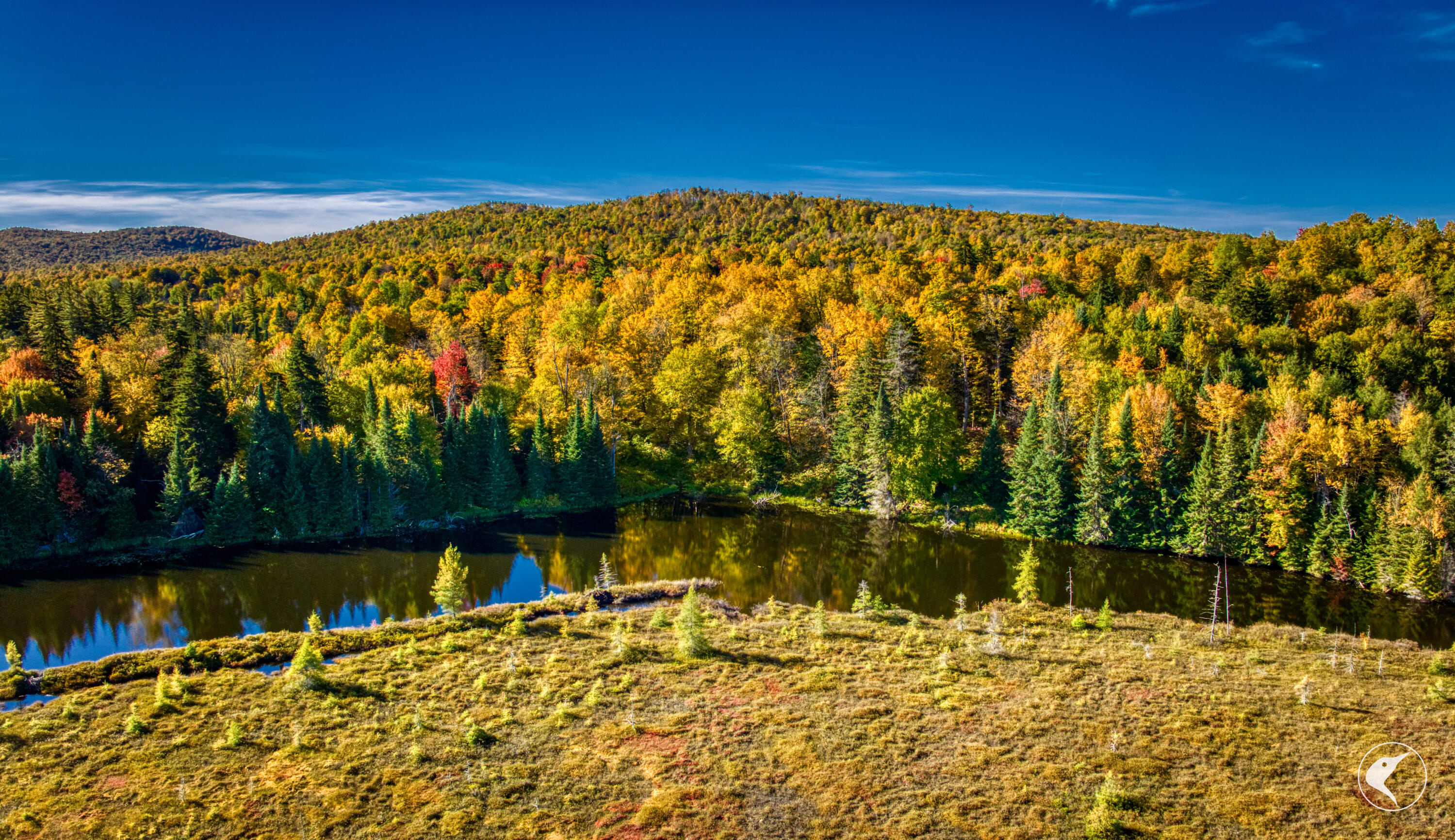 Twin Ponds Preserve, Malone, New York image 13