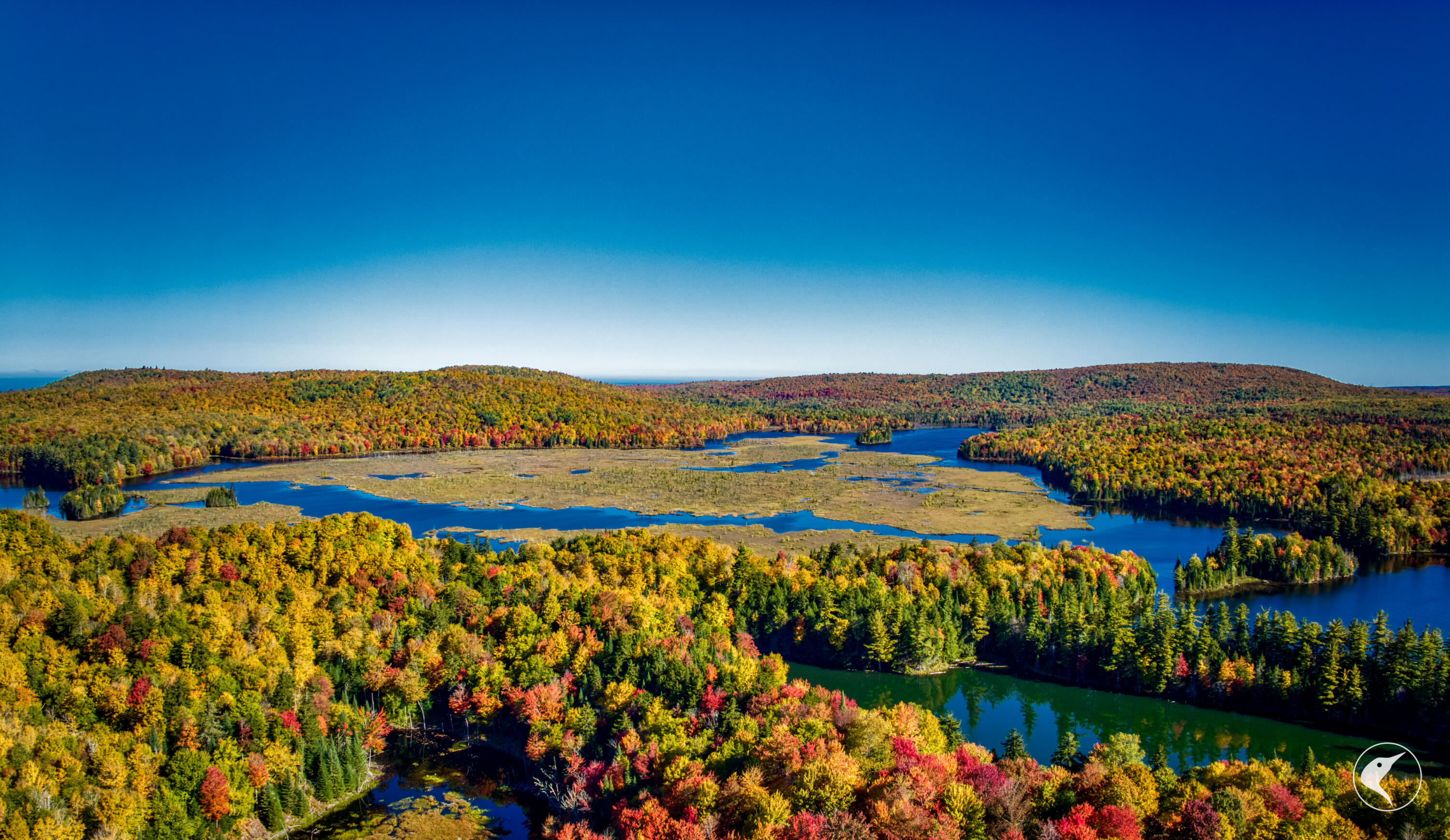 Twin Ponds Preserve, Malone, New York image 10