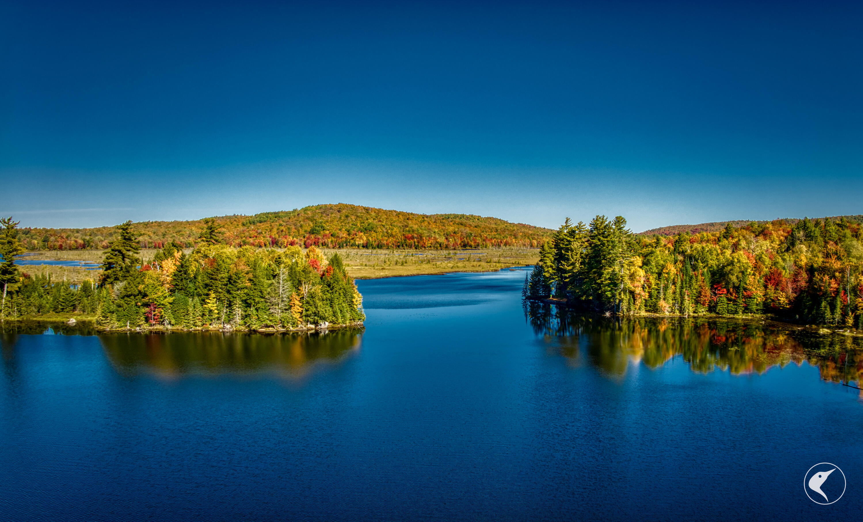 Twin Ponds Preserve, Malone, New York image 2