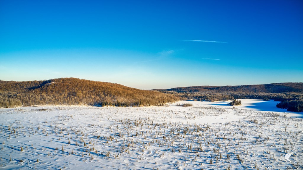 33 Twin Ponds Preserve, Malone, New York image 28