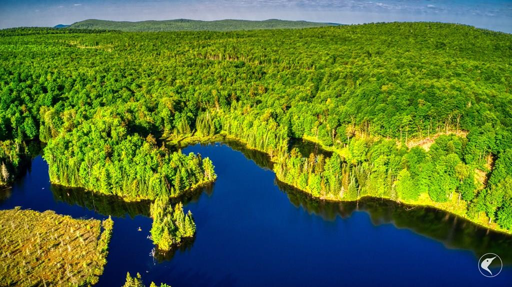 33 Twin Ponds Preserve, Malone, New York image 1