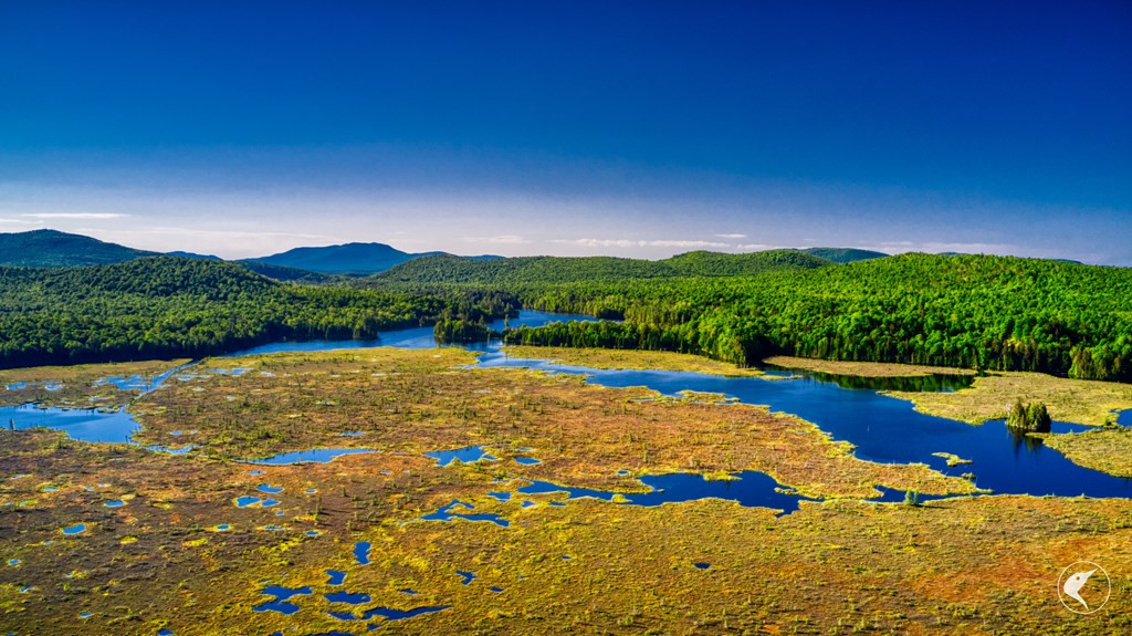 33 Twin Ponds Preserve, Malone, New York image 11