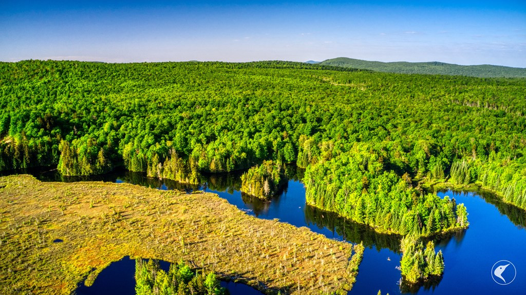 33 Twin Ponds Preserve, Malone, New York image 6