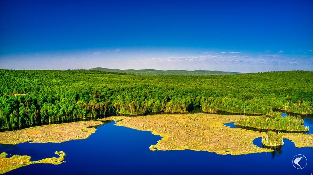 33 Twin Ponds Preserve, Malone, New York image 4