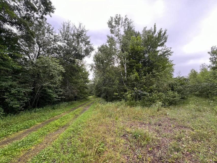 . Clinton Mills Road, Churubusco, New York image 4