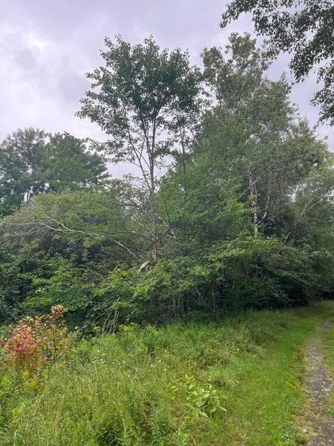 . Clinton Mills Road, Churubusco, New York image 3