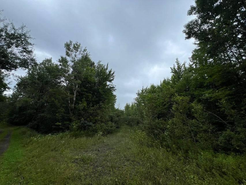 . Clinton Mills Road, Churubusco, New York image 6