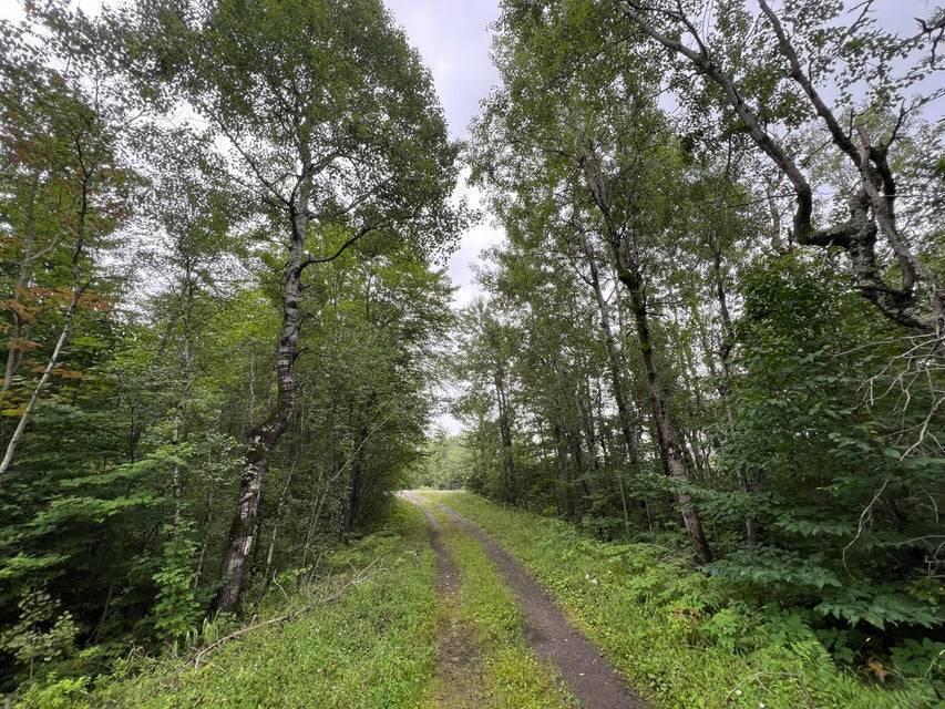 . Clinton Mills Road, Churubusco, New York image 7