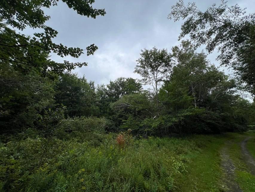 . Clinton Mills Road, Churubusco, New York image 2