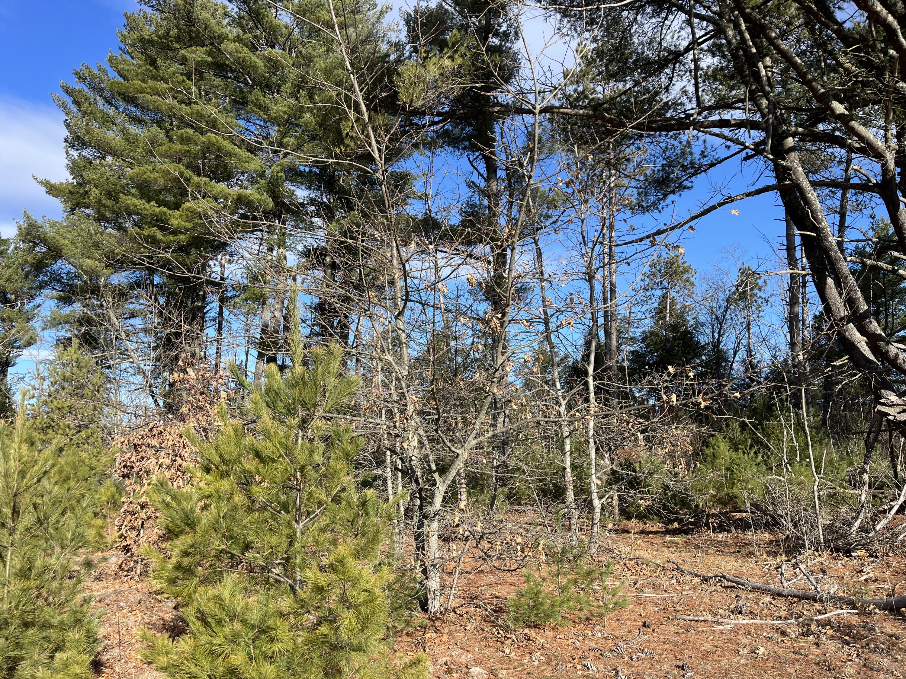 394 Dugway Road, Keeseville, New York image 27