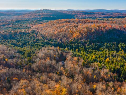 Vacant Land For Sale - 134 Haystack Mountain Road Rd<br/> Piercefield, NY 12973