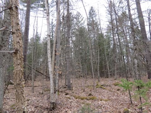 Vacant Land For Sale - 186 LOT Spruce Lane<br/> Jay, NY 12941