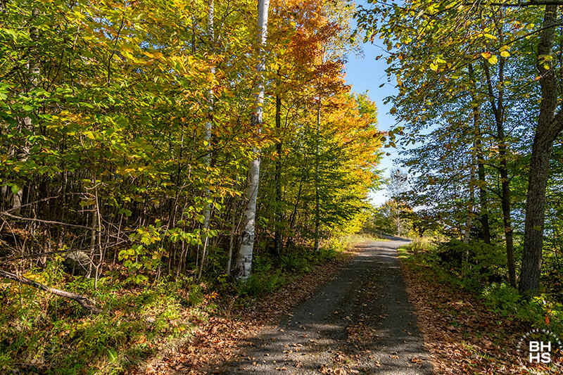 Panorama Drive Lot 15/16, Saranac Lake, New York image 23