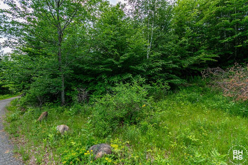 Panorama Drive Lot 15/16, Saranac Lake, New York image 38