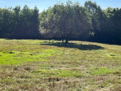 Slider Thumb
