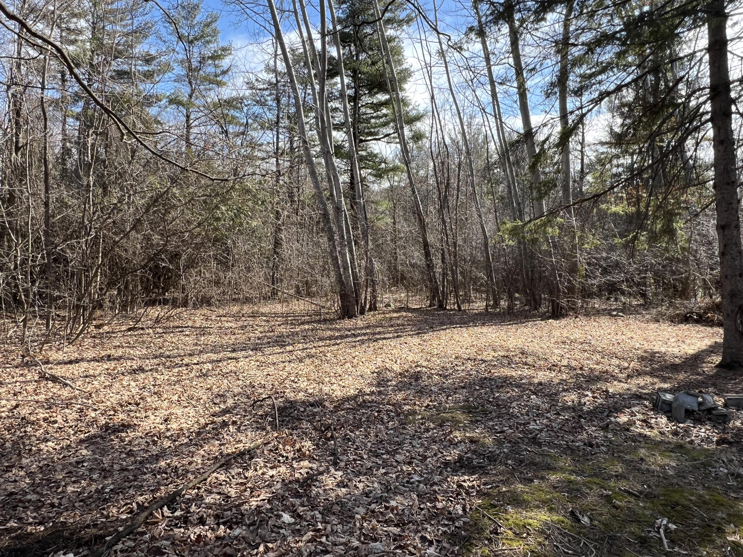 13 Alford Boulevard Blvd, Plattsburgh, New York image 21