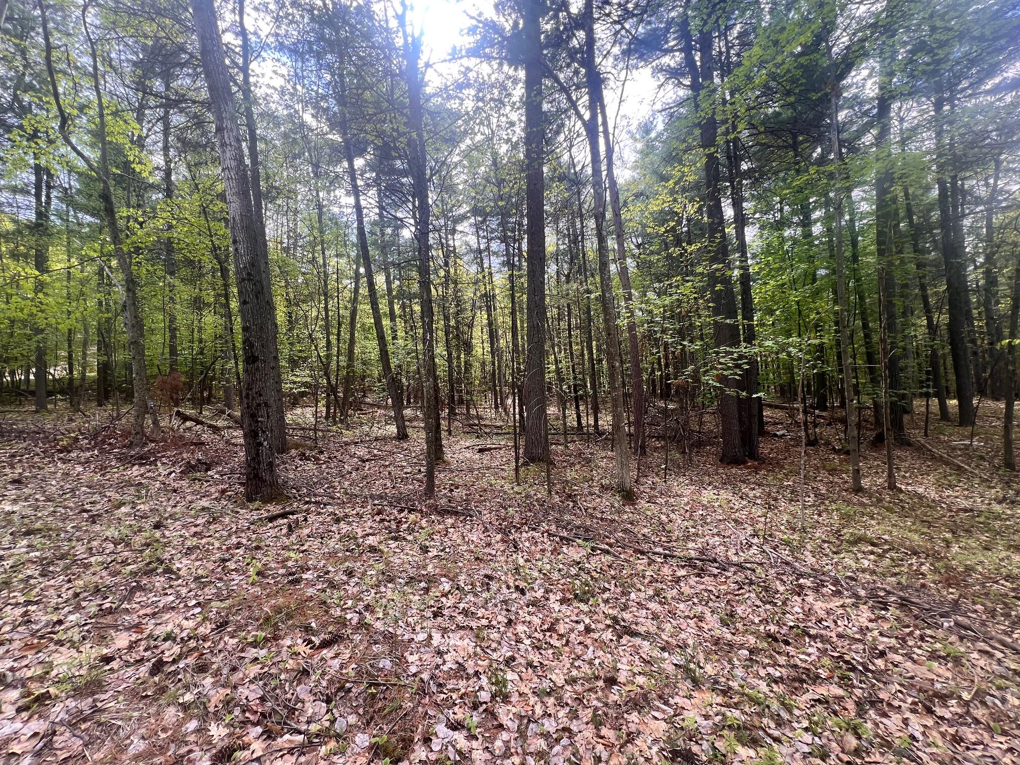 Summit Lane, Jay, New York image 4