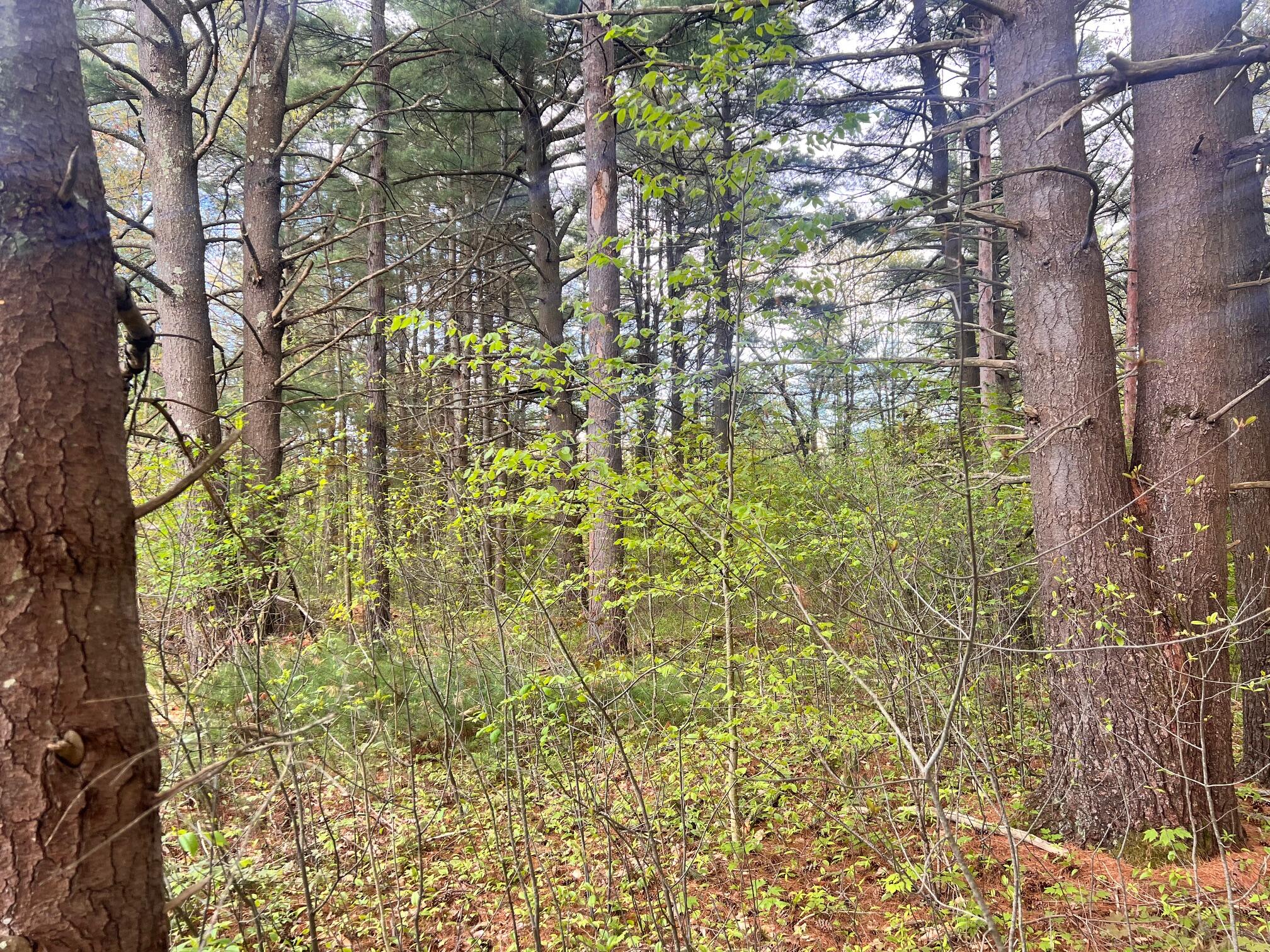 Summit Lane, Jay, New York image 5