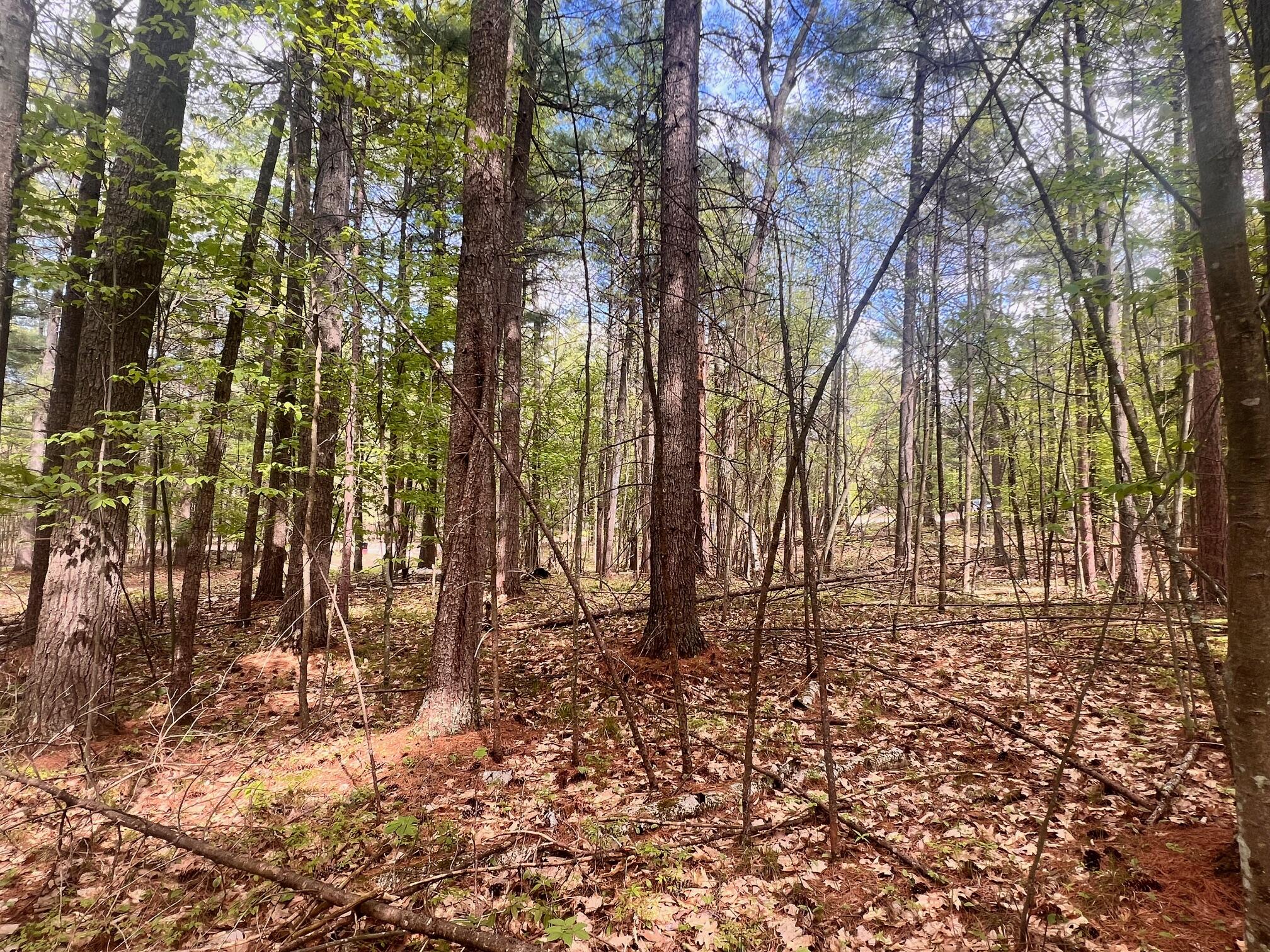 Summit Lane, Jay, New York image 6