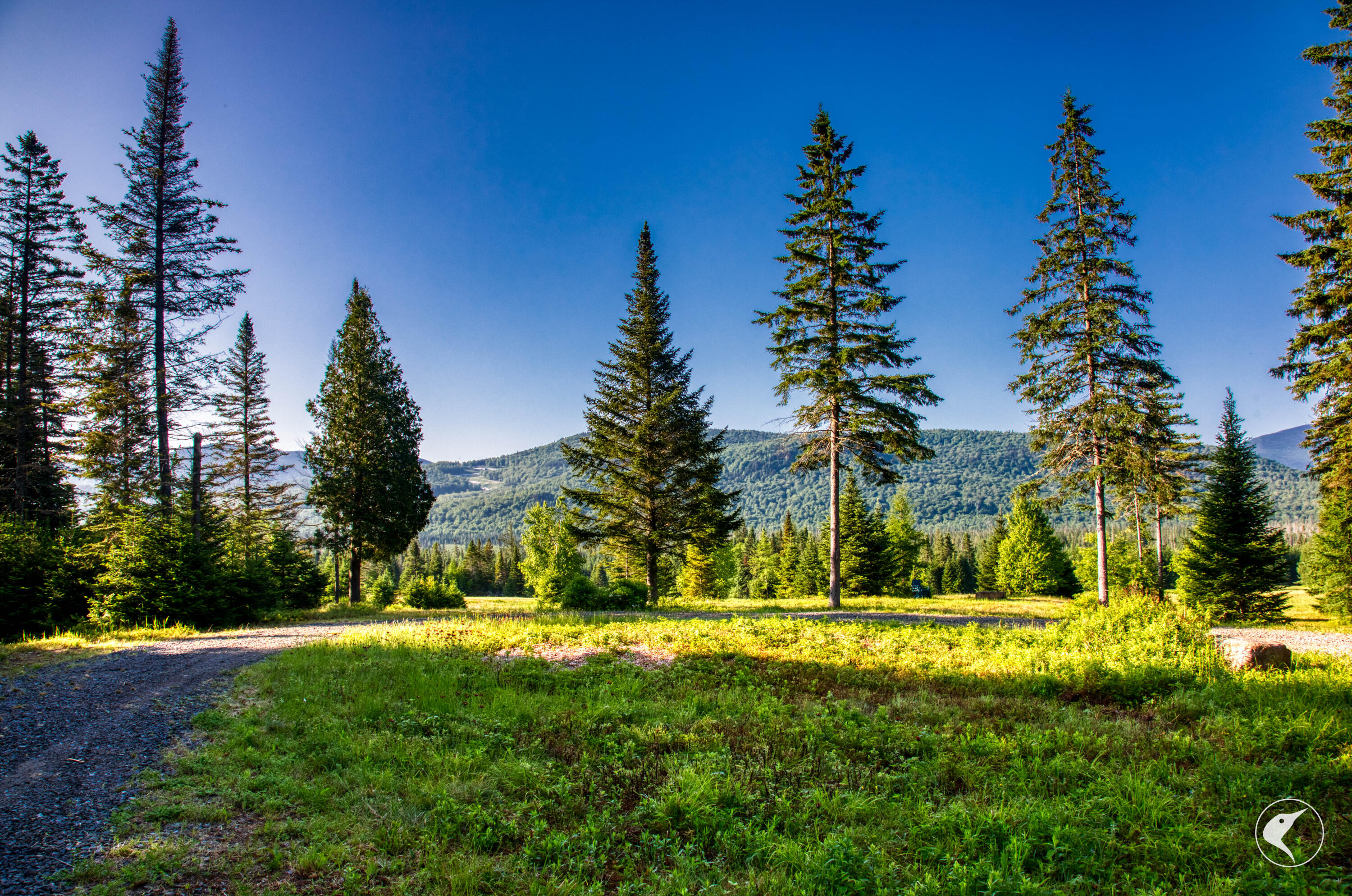 166 Far Horizon Drive