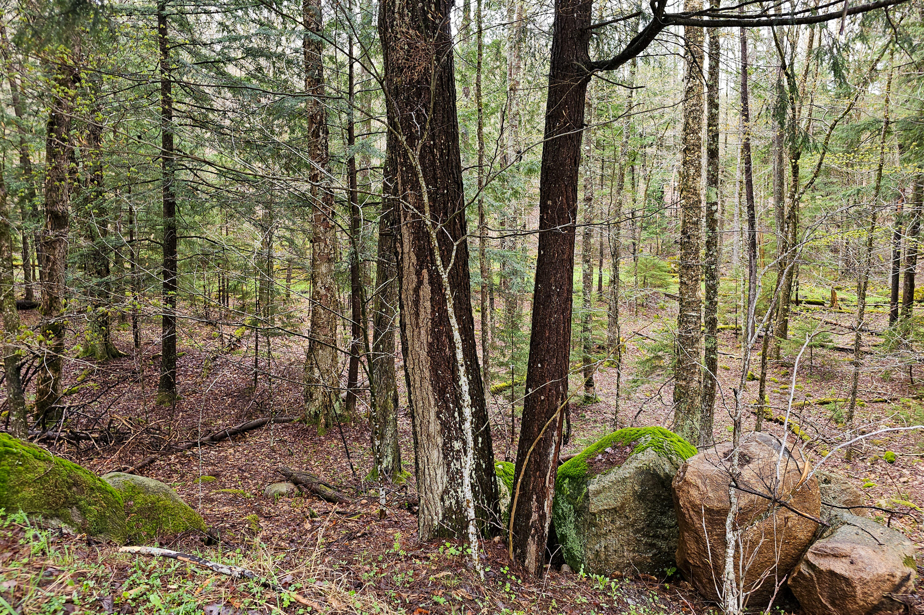 Lot 6 Gilbert Road, Inlet, New York image 3