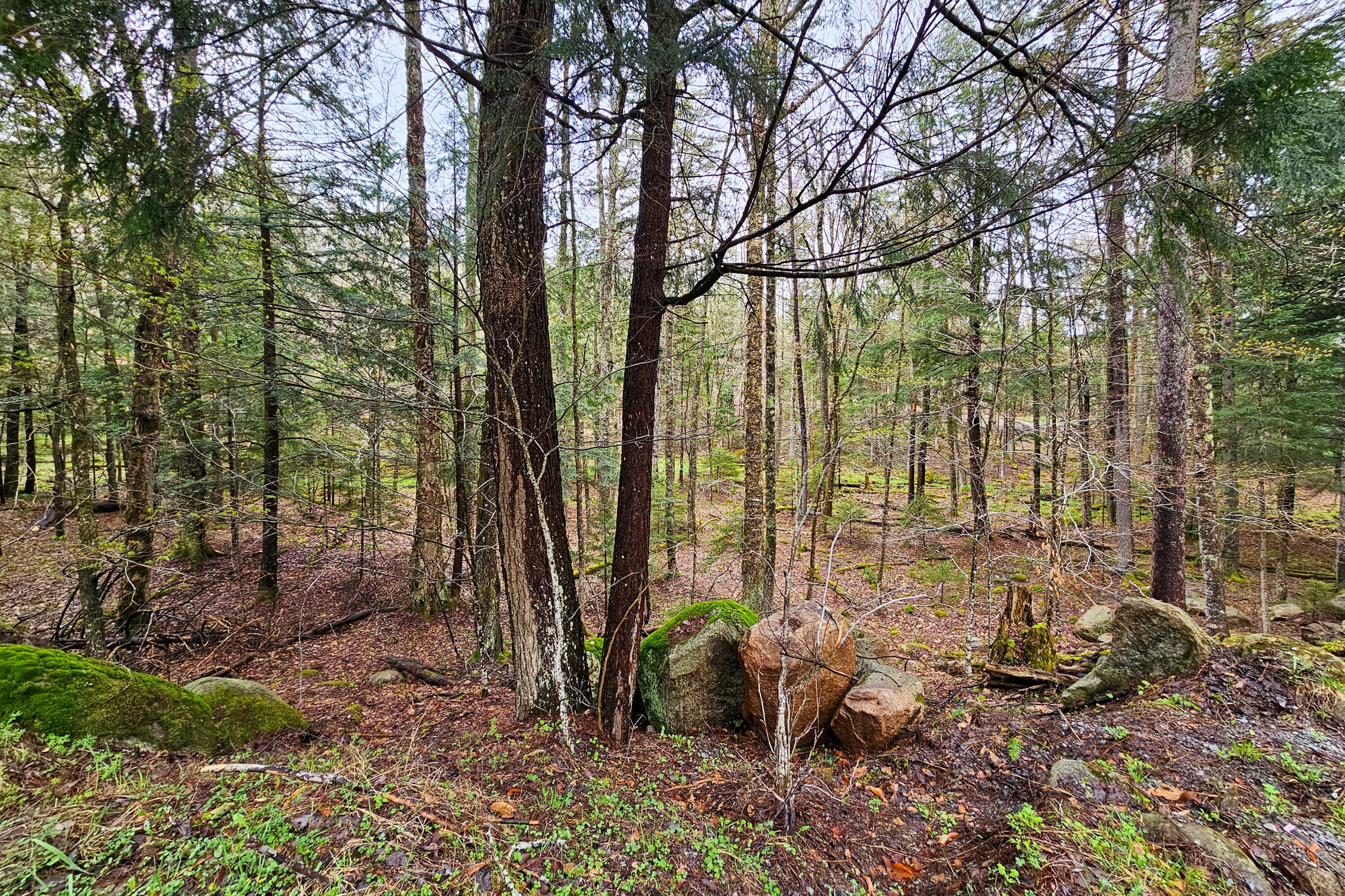 Lot 6 Gilbert Road, Inlet, New York image 2