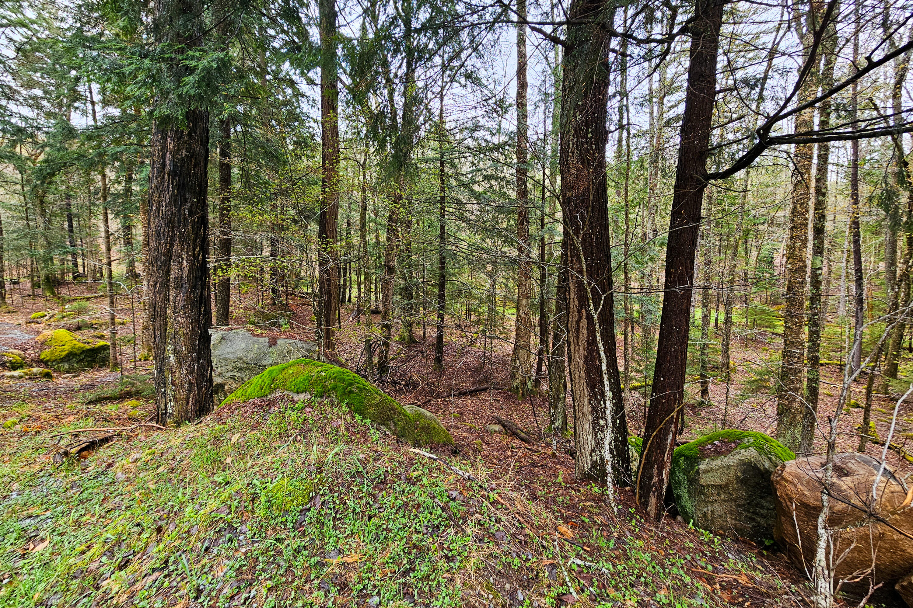 Lot 6 Gilbert Road, Inlet, New York image 4