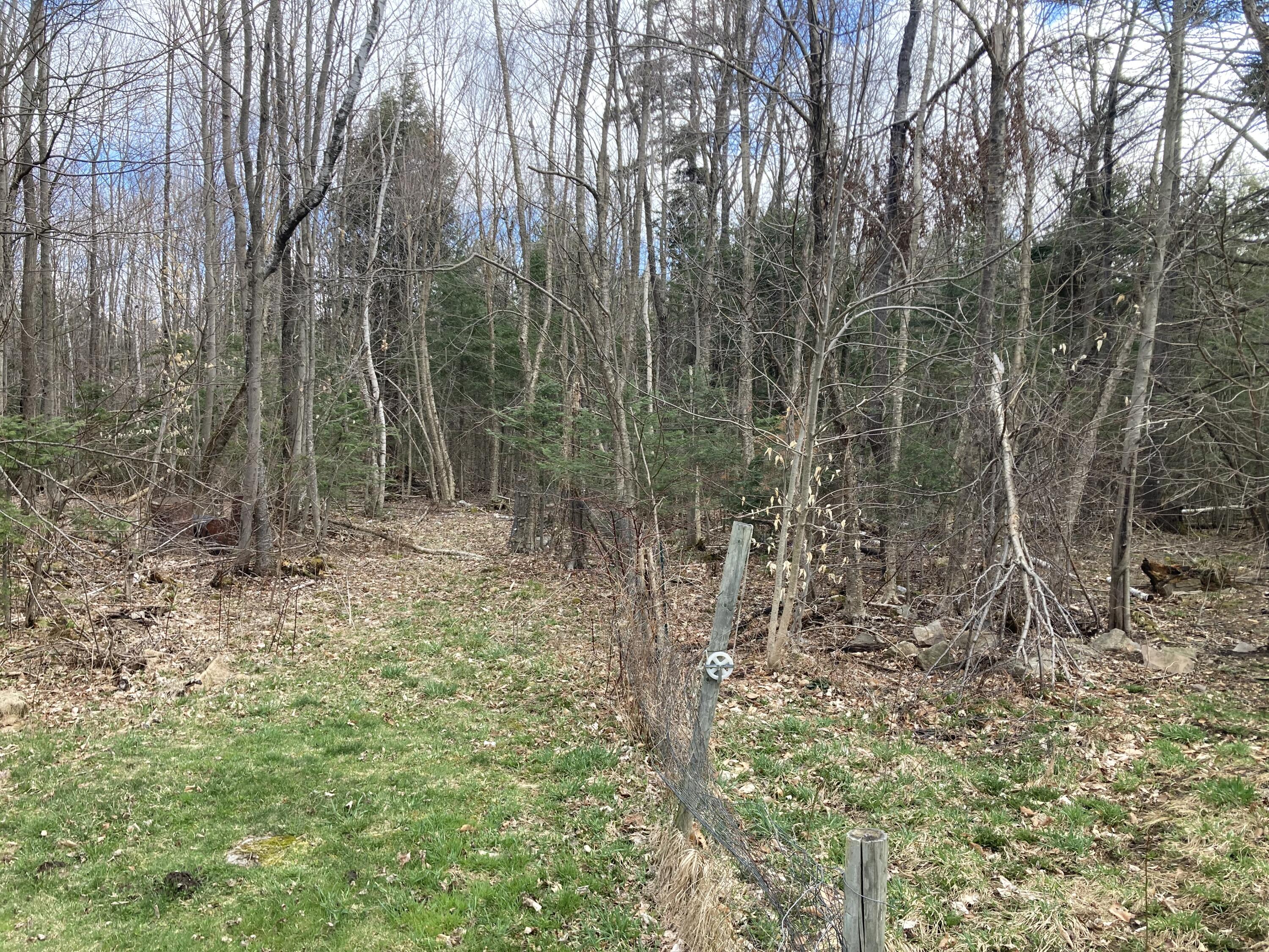 2446 Rand Hill Road, Altona, New York image 32