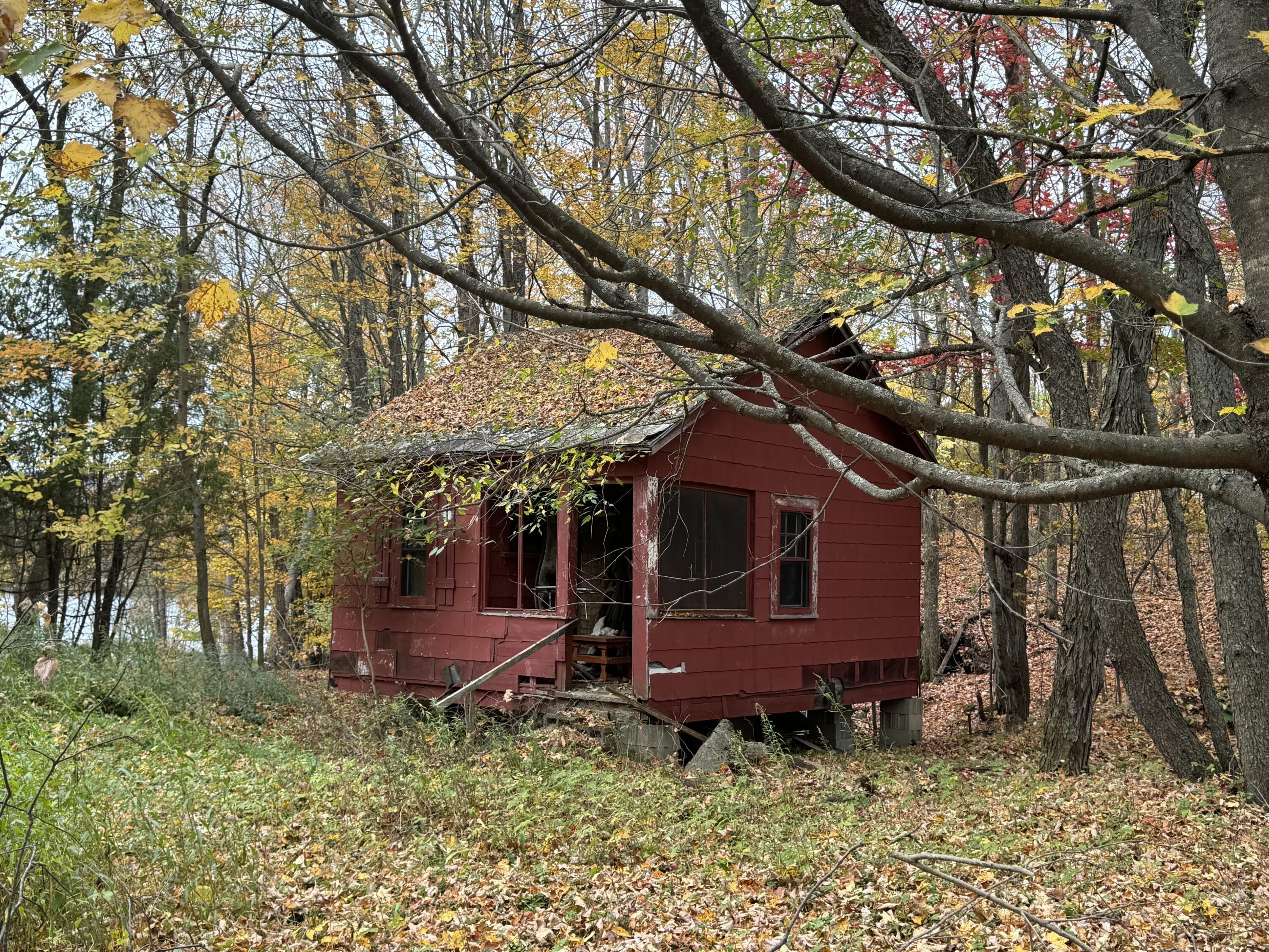 88 Forest Hill Avenue