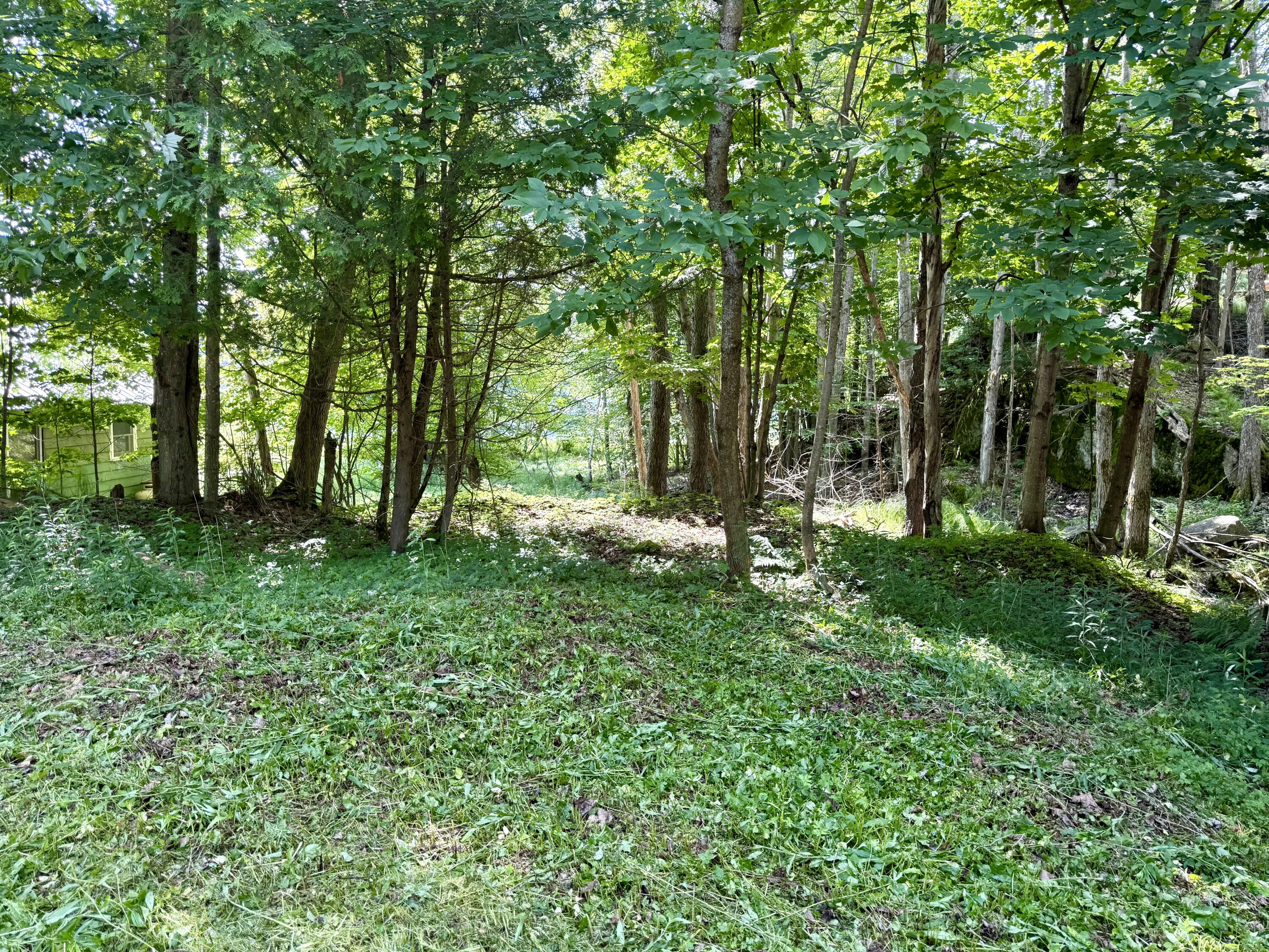 88 Forest Hill Avenue