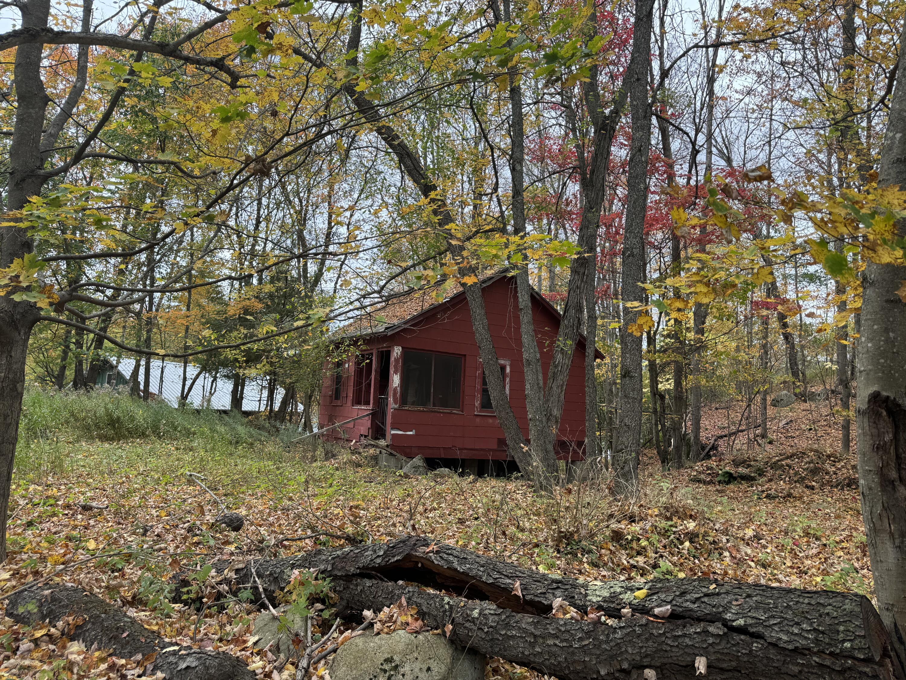 88 Forest Hill Avenue